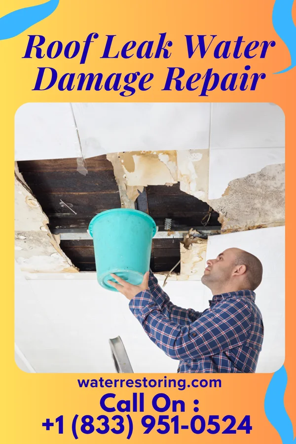 Roof Leak Water Damage Repair in Rising Star, TX